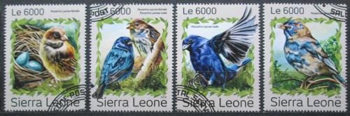 Poštovní známky Sierra Leone 2016 Papežík indigový Mi# 7958-61 Kat 11€