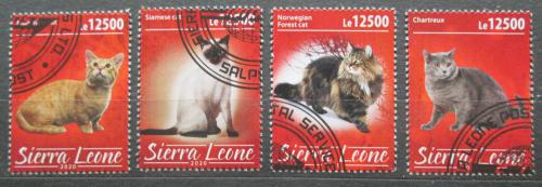 Poštovní známky Sierra Leone 2020 Koèky Mi# N/N