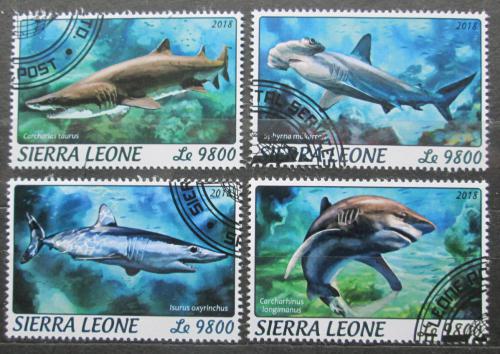 Poštovní známky Sierra Leone 2018 Žraloci Mi# 9644-47 Kat 11€
