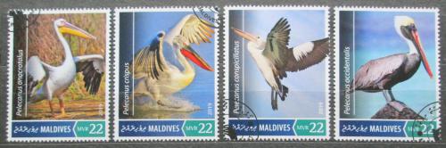 Poštovní známky Maledivy 2019 Pelikáni Mi# 8466-69 Kat 11€