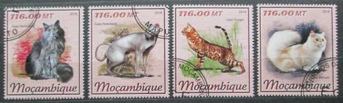 Poštovní známky Mosambik 2018 Koèky Mi# 9309-12 Kat 25€