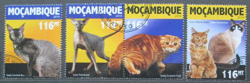 Poštovní známky Mosambik 2019 Koèky Mi# N/N
