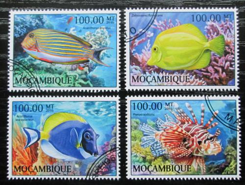 Poštovní známky Mosambik 2016 Tropické ryby Mi# 8899-8902 Kat 22€