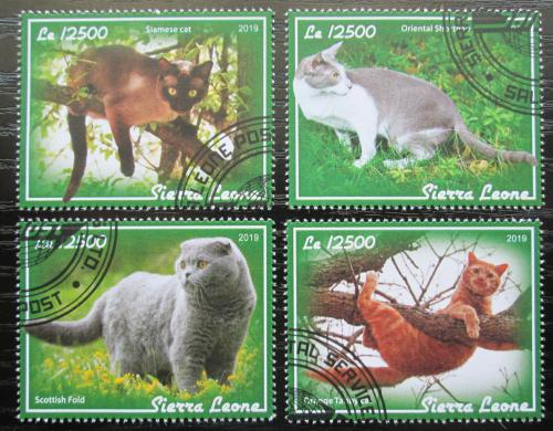 Poštovní známky Sierra Leone 2019 Koèky Mi# 11317-20 Kat 14€