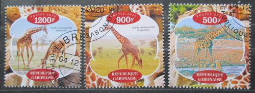 Poštovní známky Gabon 2020 Žirafy Mi# N/N