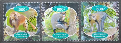Poštovní známky Gabon 2020 Opice Mi# N/N