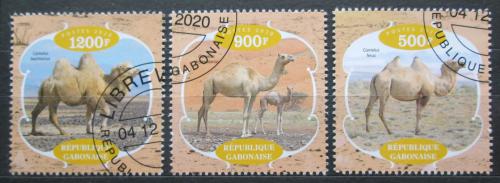 Poštovní známky Gabon 2020 Velbloudi Mi# N/N