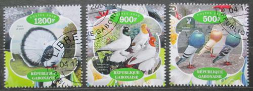 Poštovní známky Gabon 2020 Holubi Mi# N/N