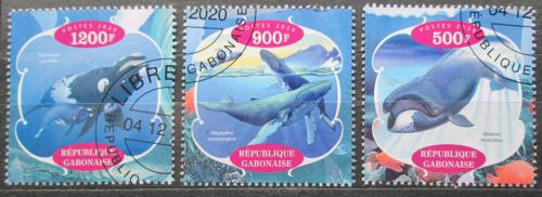 Poštovní známky Gabon 2020 Velryby Mi# N/N