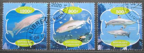 Poštovní známky Gabon 2020 Žraloci Mi# N/N