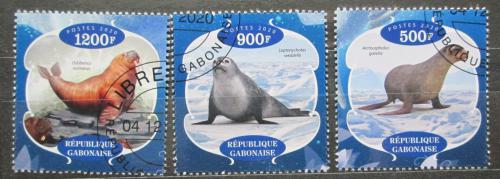 Poštovní známky Gabon 2020 Tuleni Mi# N/N