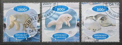 Poštovní známky Gabon 2020 Arktická fauna Mi# N/N