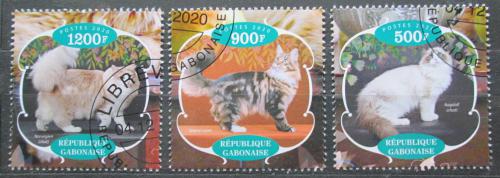 Poštovní známky Gabon 2020 Koèky Mi# N/N