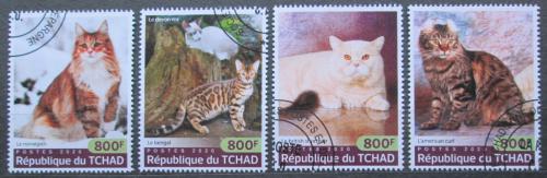 Poštovní známky Èad 2020 Koèky Mi# N/N