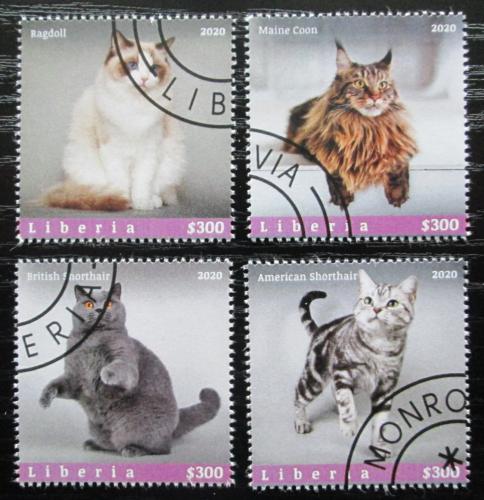 Poštovní známky Libérie 2020 Koèky Mi# N/N