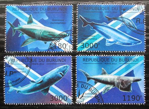 Poštovní známky Burundi 2012 Žralok malohlavý Mi# 2635-38 Kat 10€