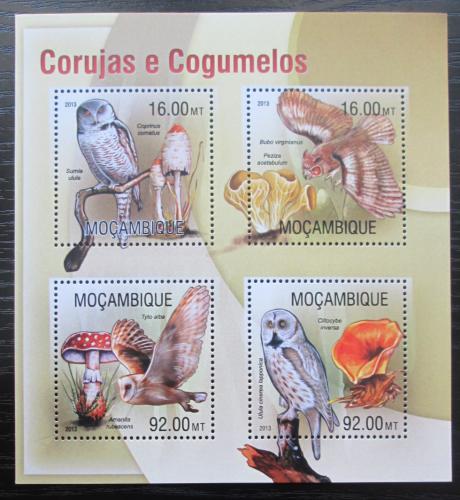 Poštovní známky Mosambik 2013 Sovy a houby Mi# 6672-75 Kat 13€