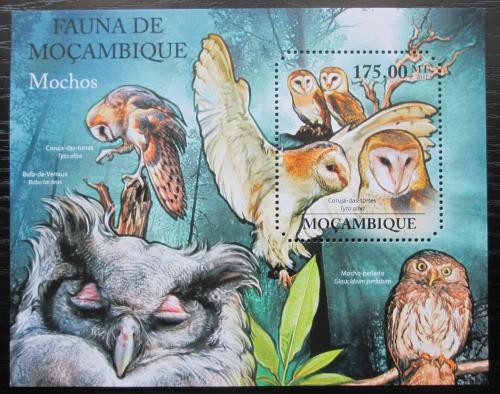 Poštovní známka Mosambik 2011 Sovy Mi# Block 504 Kat 10€