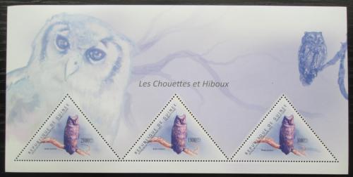 Poštovní známky Guinea 2011 Sovy Mi# Block 1993 Kat 18€