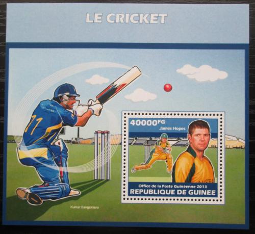 Poštovní známka Guinea 2013 Kriket Mi# Block 2330 Kat 16€
