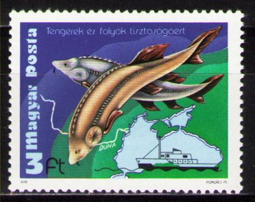 Poštovní známka Maïarsko 1979 Ryby Mi# 3369