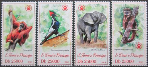 Poštovní známky Svatý Tomáš 2013 Ohrožená fauna Mi# 5286-89 Kat 10€