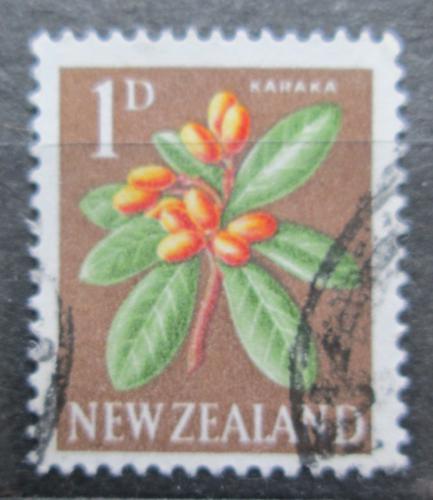 Poštovní známka Nový Zéland 1960 Kyjovec hladký Mi# 393