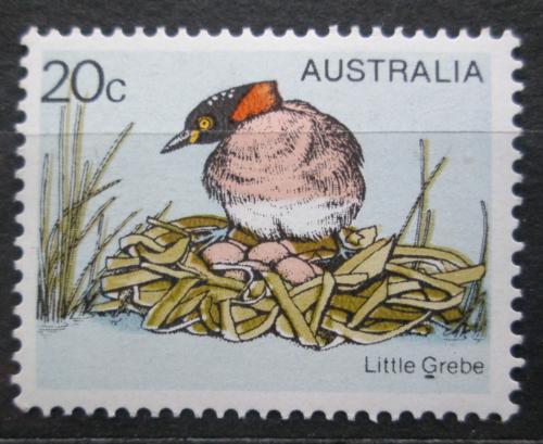 Poštovní známka Austrálie 1978 Potápka malá Mi# 655