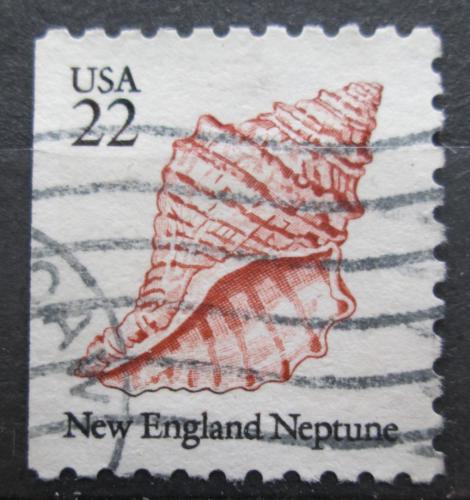 Poštovní známka USA 1985 Neptunea decemcostata Mi# 1743 D