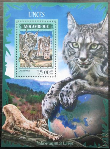 Poštovní známka Mosambik 2014 Rysi Mi# Block 912 Kat 10€