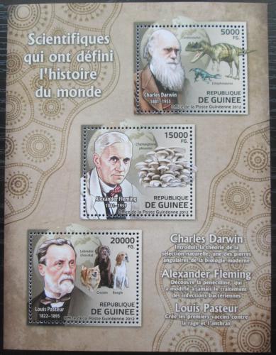 Poštovní známky Guinea 2012 Slavní vìdci Mi# 9256-58 Kat 16€
