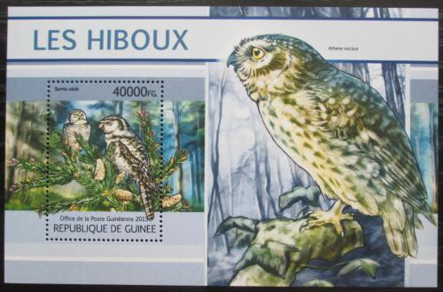 Poštovní známka Guinea 2013 Sovy Mi# Block 2207 Kat 16€