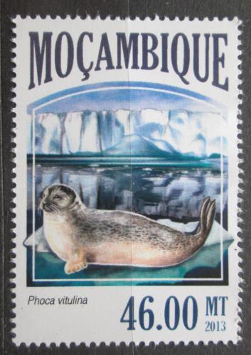 Poštovní známka Mosambik 2013 Tuleò obecný Mi# 7068