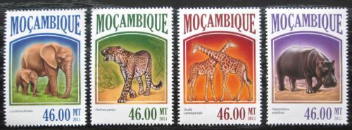 Poštovní známky Mosambik 2013 Africká fauna Mi# 6822-25 Kat 11€
