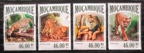 Poštovní známky Mosambik 2013 Koèkovité šelmy Mi# 6977-80 Kat 11€