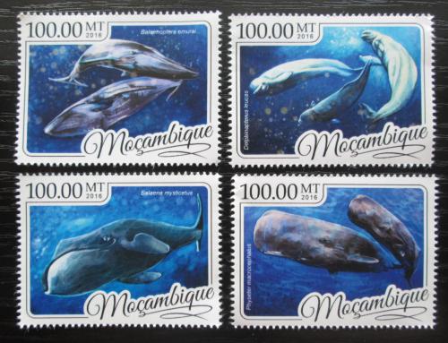 Poštovní známky Mosambik 2016 Velryby Mi# 8794-97 Kat 22€