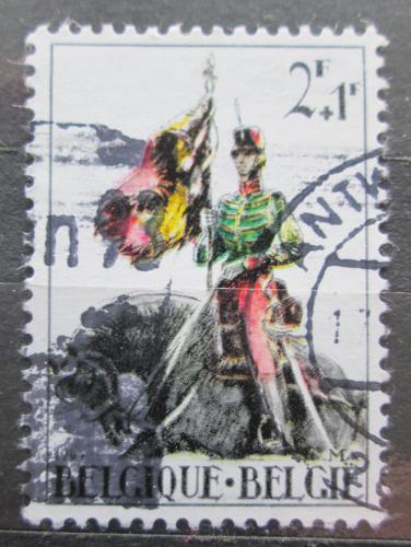 Potovn znmka Belgie 1964 Vlajkono Mi# 1354