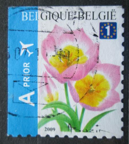 Poštovní známka Belgie 2009 Tulipán skalní Mi# 3918