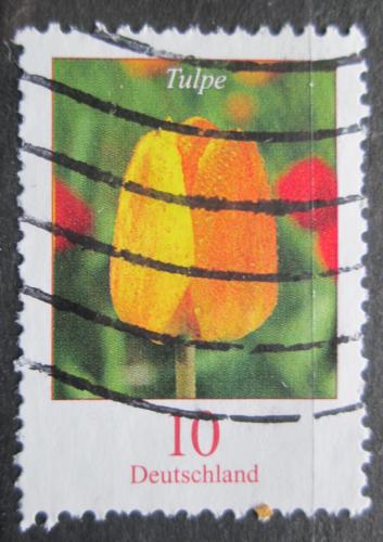 Potovn znmka Nmecko 2005 Tulipn Mi# 2484 A