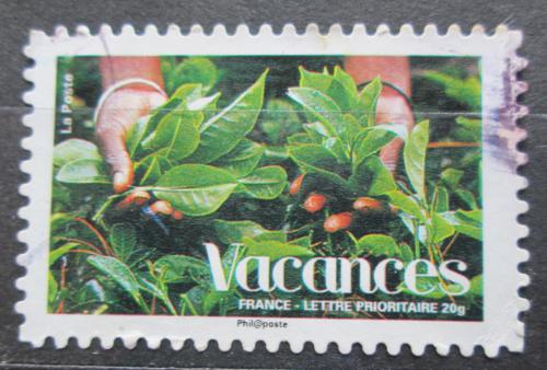Poštovní známka Francie 2008 Listy tabáku Mi# 4415