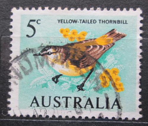 Poštovní známka Austrálie 1966 Støízlíkovec žlutoocasý Mi# 362