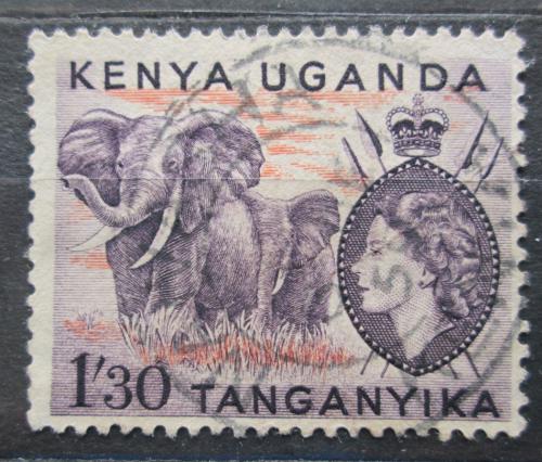 Poštovní známka K-U-T 1955 Slon africký Mi# 101
