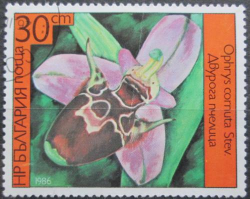 Poštovní známka Bulharsko 1986 Orchidej, Ophrys cornula Mi# 3443