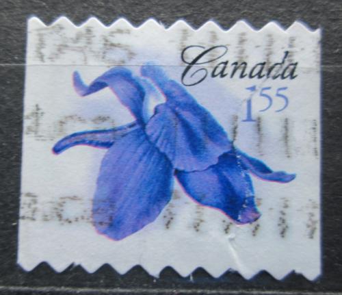 Potovn znmka Kanada 2006 Delphinium bicolor Mi# 2387 BC