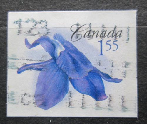 Potovn znmka Kanada 2006 Delphinium bicolor Mi# 2387 BB