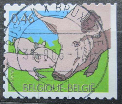Poštovní známka Belgie 2006 Prase Mi# 3532
