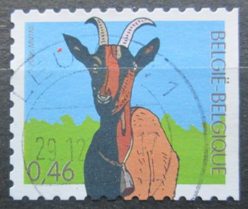 Poštovní známka Belgie 2006 Koza Mi# 3534