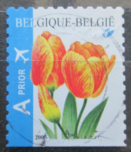 Potovn znmka Belgie 2005 Tulipny Mi# 3454 Du