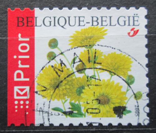 Potovn znmka Belgie 2005 Chryzantma Mi# 3480 D - zvtit obrzek