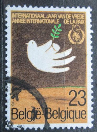Poštovní známka Belgie 1986 Mezinárodní rok míru Mi# 2254